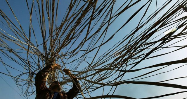 شبكات لسرقة الأسلاك والتجهيزات الكهربائية