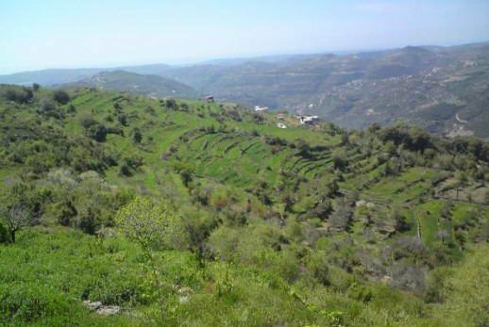 الطرق الزراعية في محافظة طرطوس إما الإهمال أو التنفيذ السيئ