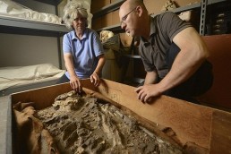 مصر تستعيد &laquo;هيكل نزلة خاطر&raquo;