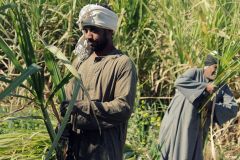 الموقف أوردته في بيان قُبيل انطلاق الدورة الحادية عشرة من المؤتمر الوزاري لمنظمة التجارة العالمية في بيونس أيرس