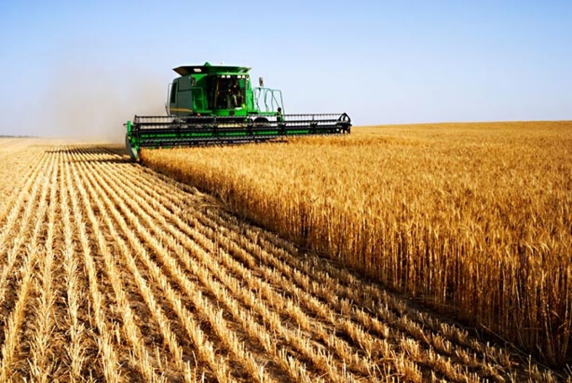 المسألة الزراعية بين الأمس واليوم المخاطر والصعوبات والإجراءات الهدامة في وجه الزراعة السورية