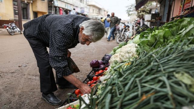 المزروعات السبعة الأساسية في 2020: (المال) يدخل حقول الخضار والفواكه ليهربها...