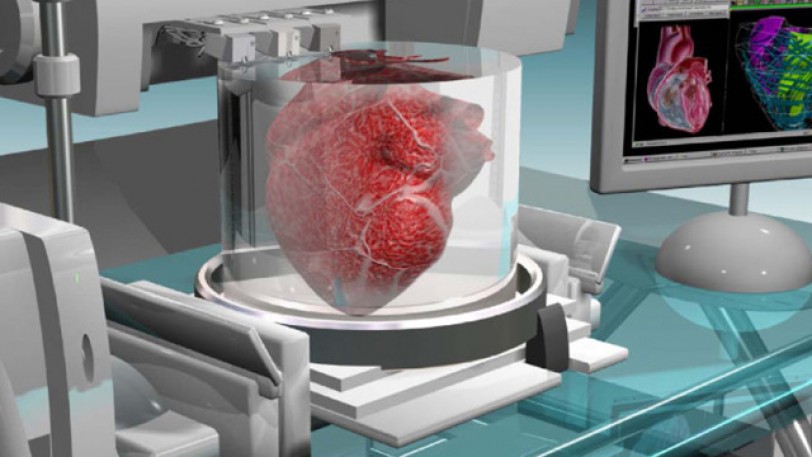 مشروع طبي لصناعة القلوب الحية