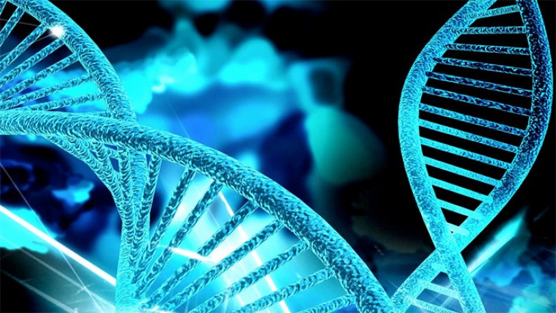 علماء: بعد 20 سنة لن يستخدم الأطباء العلاج الكيميائي