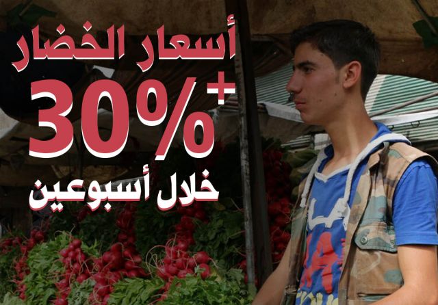 ارتفاع الخضار الأساسية بنسب تفوق 30%