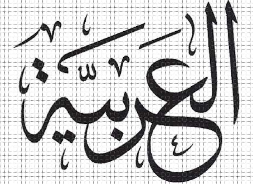 لغة الأم ولغة الأب