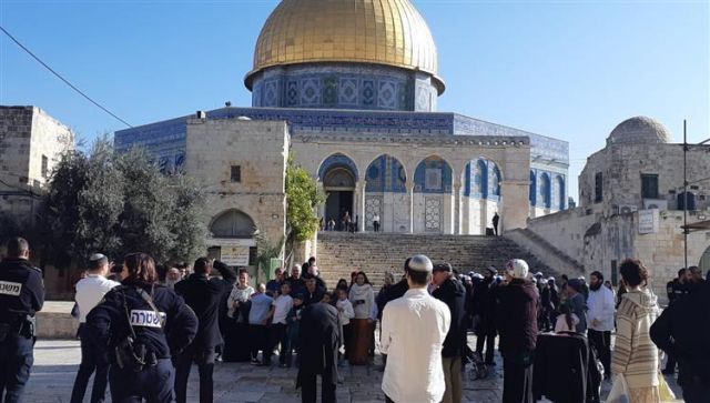 عشرات المستوطنين يقتحمون الأقصى واعتقال 19 فلسطينياً بالضفة