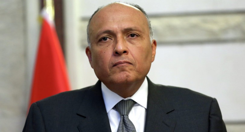شكري: حرص عربي على الحل السياسي للأزمة السورية