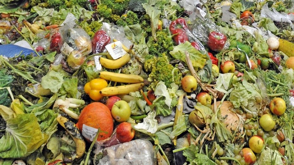 وجدتها:نظام الزراعة والأغذية في خدمة من؟