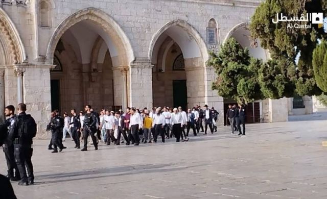 مئات المستوطنين يقتحمون الأقصى بحماية شرطة الاحتلال وتحضيراً لـ&laquo;مسيرة الأعلام&raquo;