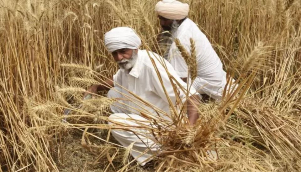 واشنطن تدعو الهند لإعادة النظر في قرار حظر تصدير القمح