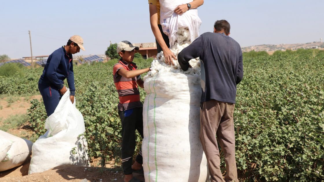 المحصول الثاني استراتيجياً في غرفة الإنعاش!