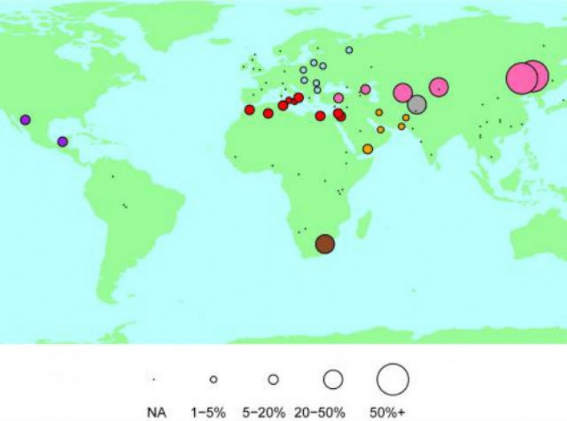 أول خريطة للتاريخ الجيني تثبت وقائع تجارة الرقيق