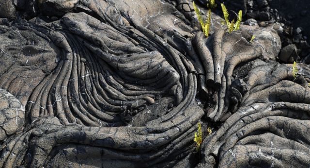 كابلات الإنترنت يمكنها التنبؤ بالزلازل