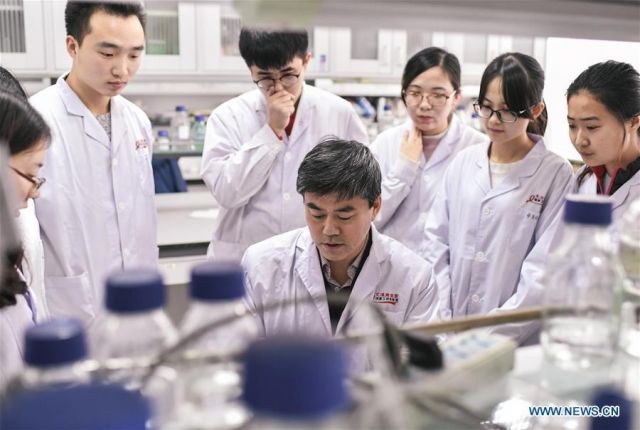 عن عودة الأدمغة