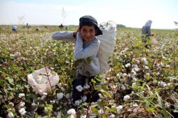 فلاحو الغاب استعراض إعلامي وغياب الدعم