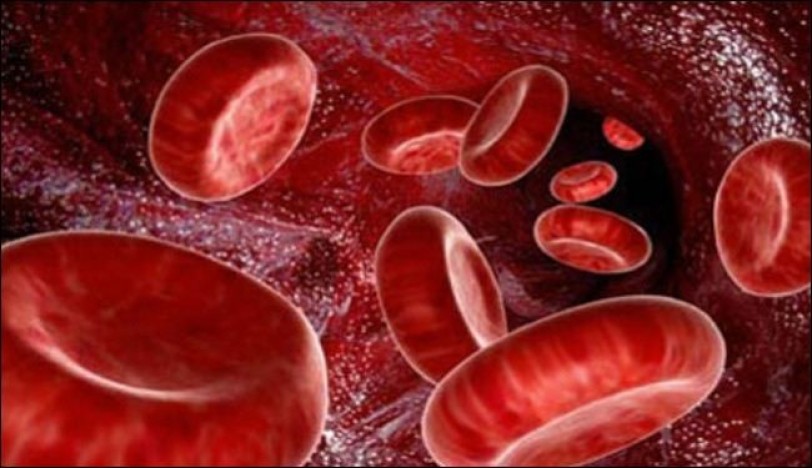 إنتاج مسحوق لتسريع التئام الجروح