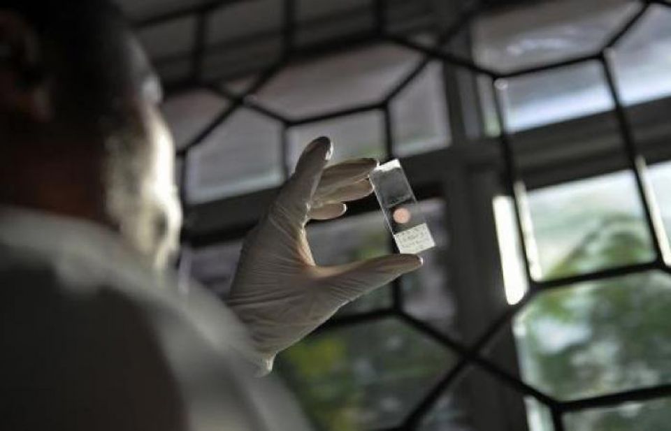 تراجع مكافحة الملاريا في أفريقيا