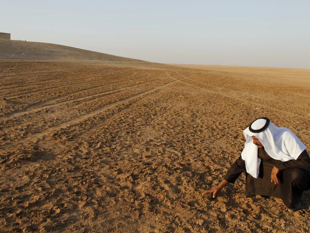 القمح في جفاف 2021: 2,3 مليون طن ممكنة ومرهونة للوضع السياسي