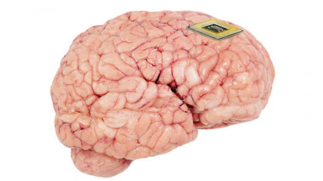 أصغر محفز عصبي في العالم