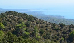 فرنسا تضرب في العراق وقبرص تبدي استعدادها للمشاركة