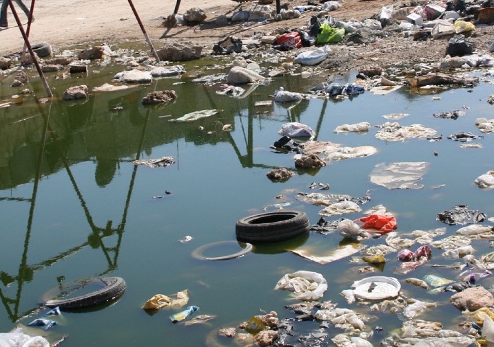 برسم الجهات الرسمية  برغش وتلوث وفساد.. في مزرعة (قلينو)!