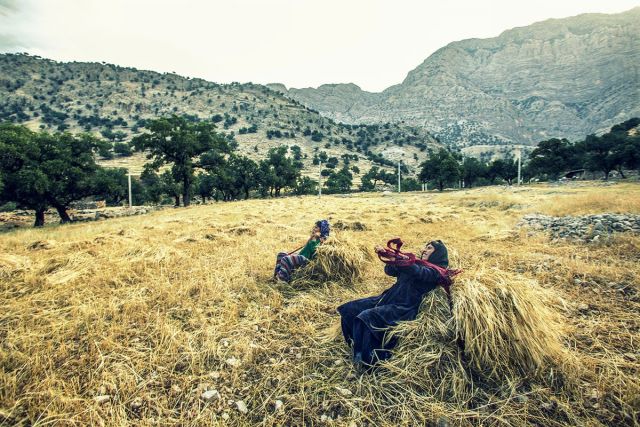 أكد غنجي جاهزية الشركة لنقل البضائع السائبة والجملة المصدرة والمستوردة للبلاد
