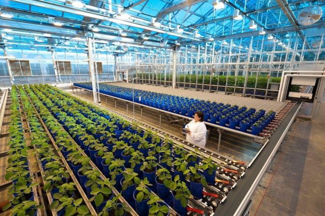 منظمة محاكمة مونسانتو.!؟