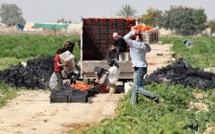 مباحثات أردنية ـ مصرية لاستئناف ضخ الغاز مطلع العام المقبل
