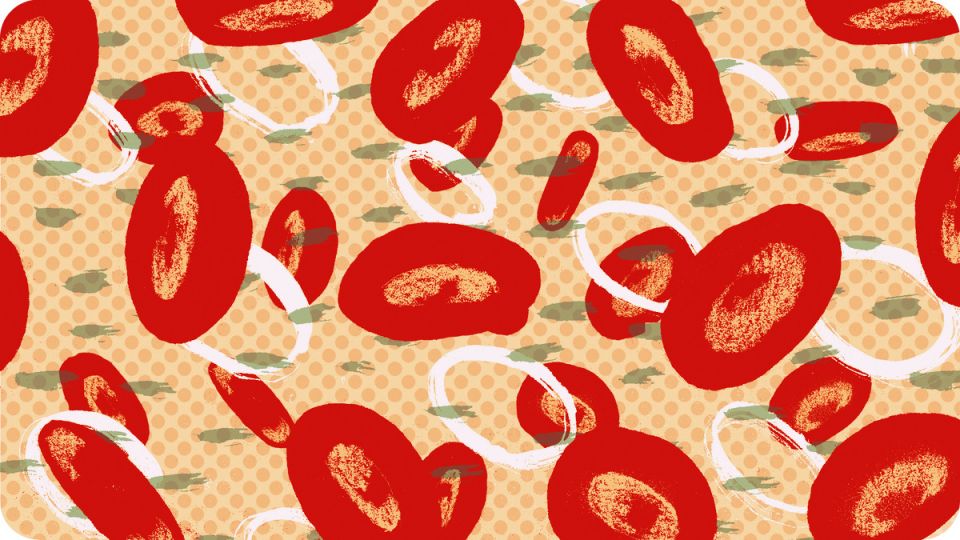 ما الذي يحدث عند نقل الدم من فصيلة مختلفة