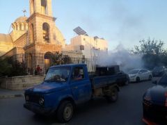 انتشار الحشرات في حماة... مشكلة هيكلية وليست موسمية