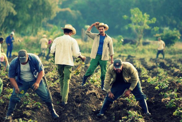 البيئة تنشد عملاً ثورياً... لا إصلاحاً تكنولوجياً