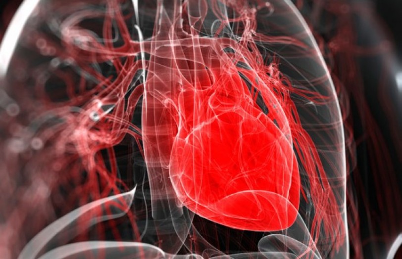 جهاز ذاتي الحركة لتنظيم ضربات القلب