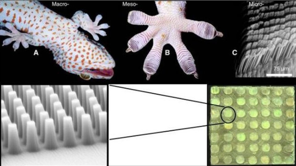 أخبار العلم