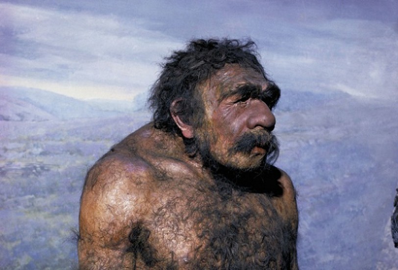 العلماء يحددون بدقة فترة انقراض الإنسان «النياندرتال»