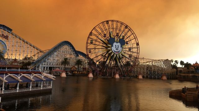 هل تبدو الصورة جميلة؟