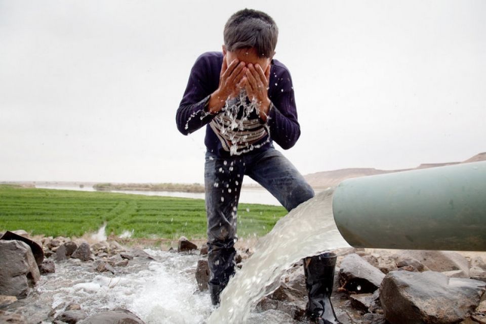 صندوق دعم الزراعة.. (رفع عتب)