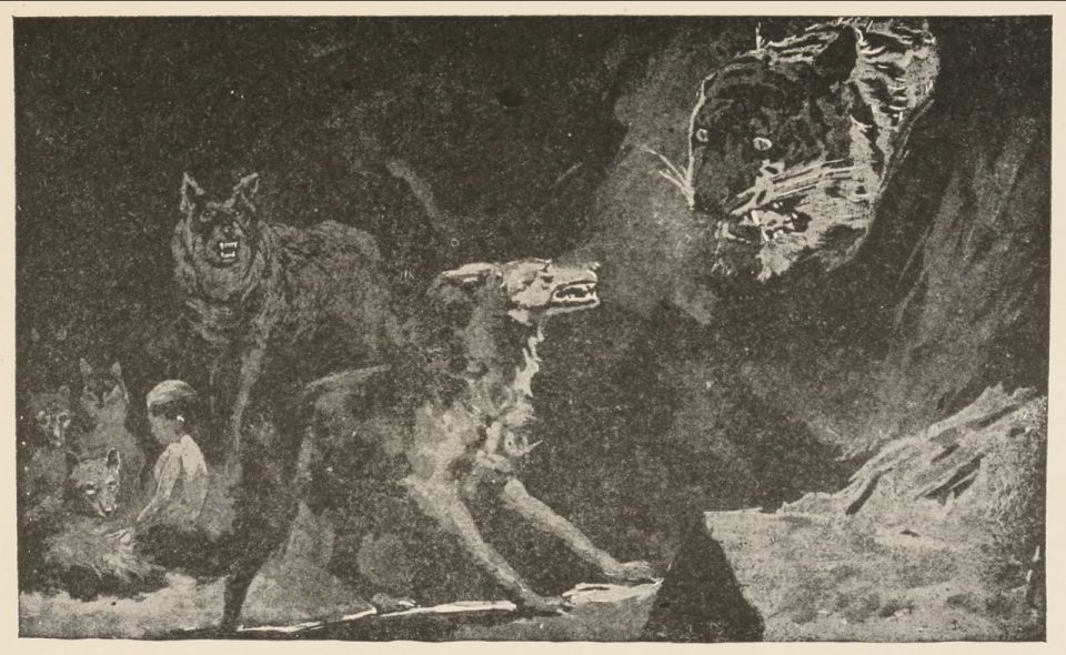 الفلسفة على لسان ماوكلي