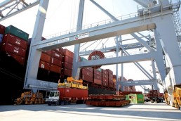 تبادل البضائع بين روسيا والدول العربية ينمو بنسبة 25%