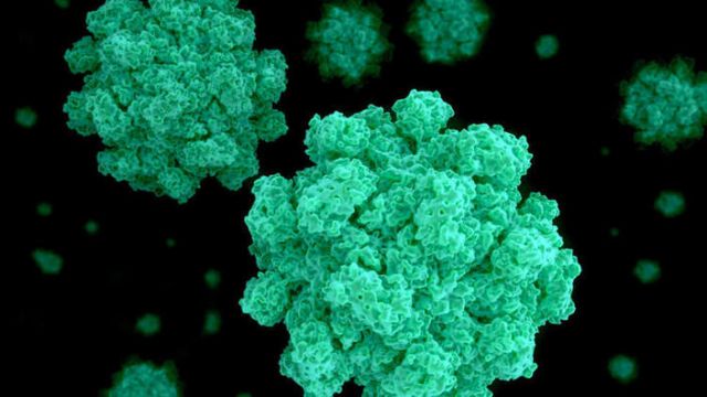 &laquo;إنفلونزا المعدة&raquo; تصل ألعاب الأولمبياد