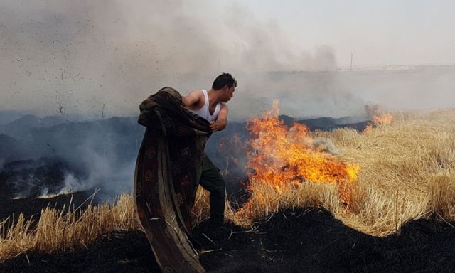 العوائد الاستثمارية على حساب الأمن الغذائي