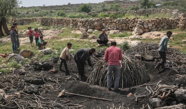 استعادة الغطاء النباتي ملف وطني لا يحتمل التأجيل!