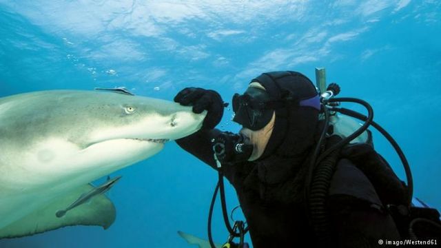 أخبار العلم