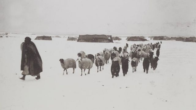 قبل الثلج الأحمر بتسع شتاءات!