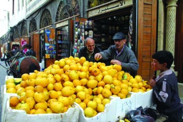 43 ألف ليرة  صافي مربح دونم الحمضيات