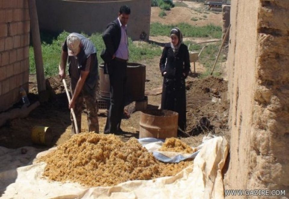 الزراعة في الحسكة على شفير الهاوية..  والفلاحون حفظوا النشرات الجوية عن ظهر قلب
