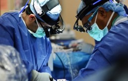 بروفيسور يدعو إلى إعادة النظر في أغلب البحوث الطبية