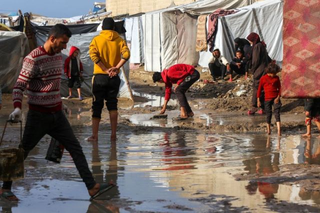 ميدوزا: «انظري في عيني»