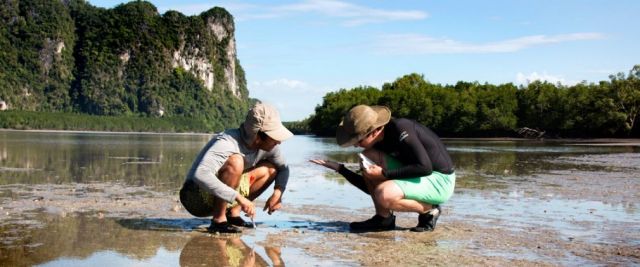 ليس لدى السوق حلولٌ للبيئة