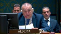 مندوب الجزائر بمجلس الأمن: الجولان سوري وعلى &laquo;إسرائيل&raquo; الانسحاب الكامل من سوريا